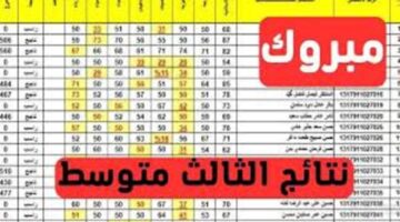 رسميًا .. طريقة الاستعلام عن نتيجة الصف الثالث المتوسط 2024 عبر موقع وزارة التربية العراقية