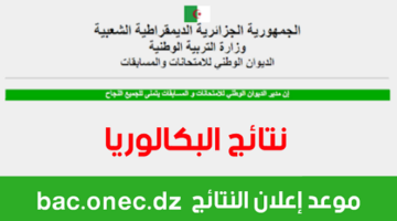 رابط مباشر”.. دخول موقع فضاء الاولياء نتائج شهادة التعليم المتوسط 2024 bem onec dz وزارة التربية الوطنية الجزائرية
