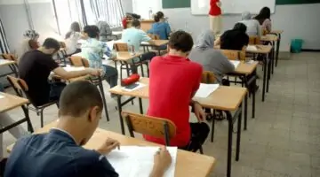 بالاسم طالع نتائج البيام 2024 الجزائر نتائج شهادة التعليم المتوسط عبر موقع الديوان الوطني bem.onec.dz