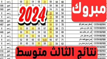 “رسمي وسريع” نتائج الثالث متوسط 2024 الدور الاول pdf بابل عبر موقع وزارة التربية والتعليم العراقية