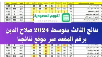 نتائج الثالث متوسط 2024 صلاح الدين عبر موقع نتائجنا ووزارة التربية العراقية