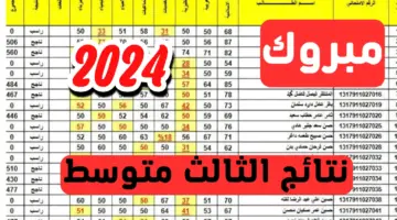 ترقبوا ساعات فقط على .. “نتائج الثالث متوسط 2024 محافظة نينوي” بدون رقم امتحاني عبر موقع الوزارة