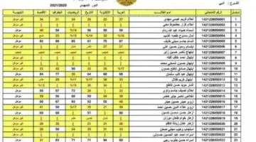 كشوفات pdf.. نتائج الثالث متوسط الدور الاول 2024 عبر موقع وزارة التربية العراقية وبوابة نتائجنا