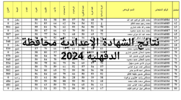 من هنا رابط نتائج الشهادة الإعدادية محافظة الدقهلية 2024 برقم الجلوس