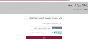 طالع الآن نتيجة الثانوية العامة القطرية دور أول 2024 عبر وزارة التربية والتعليم والتعليم العالي