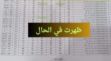 “رابط فعال epedu.gov.iq” وزارة التربية العراقية نتائج الثالث متوسط الدور الأول 2024 الآن بجميع المحافظات