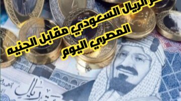 موسم الحج وسعر الريال السعودي مقابل الجنيه المصري اليوم في البنوك