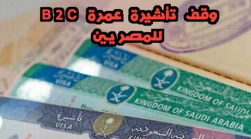 عااجل.. بعد أزمة حج موسم ٢٠٢٤، وقف تأشيرة عمرة B2C  للمصريين لأجل غير معروف