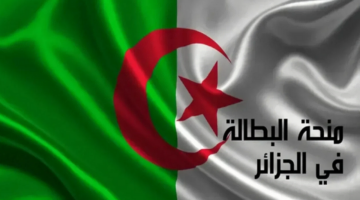 anem dz”.. طريقة التسجيل في منحة البطالة 2024 الجزائر حسب الشروط المطلوبة للتقديم