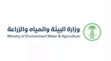 شروط دعم صغار صيادي الأسماك للحصول على دعم 54 ألف ريال حسب توضيح وزارة البيئة السعودية