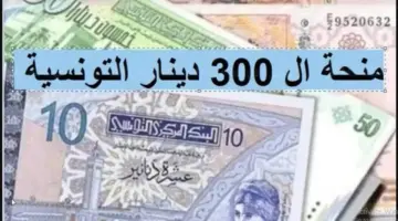 خطوات التسجيل في منحة 300 دينار تونس 2024 والشروط اللازمة