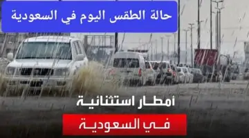 تحذير عاجل.. حالة الطقس اليوم في السعودية تشهد موجة رياح قاسية تهدد سلامة المواطنين مع أمطار غزيرة