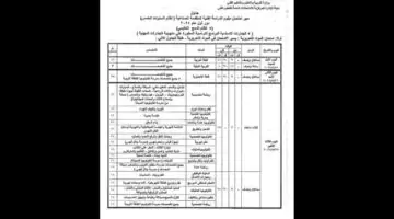 رسميًا .. رابط رسمي للحصول على نتيجة امتحانات الدبلومات الفنية 2024 في مصر 