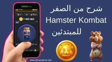 “انقر على الشاشة واكسب المال”تحميل تطبيق هامستر Hamster Kombat وخطوات ربط محفظة TON لسحب الأرباح
