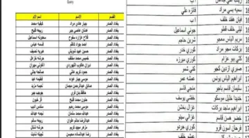 كشوفات أسماء PDF الرعاية الاجتماعية في العراق 2024