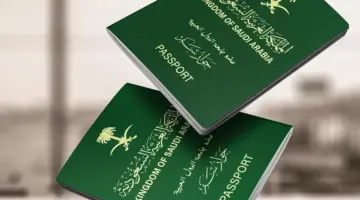 خطوات استعلام عن تأشيرة برقم الجواز إنجاز 1446 وشروط الحصول علي التأشيرات في السعودية