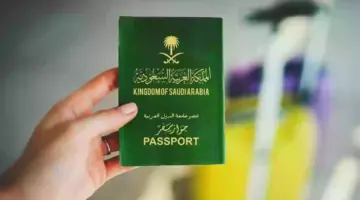 استعلم توه”.. خطوات استعلام عن تأشيرة زيارة برقم الجواز عبر منصة التأشيرات وشروط إصدارها
