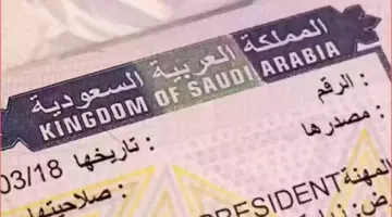 الاستعلام عن رقم تأشيرة الدخول للسعودية 1446 / 2024.. وشروط إصدار التأشيرة