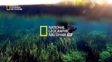 “عيش أجواء الطبيعة” أحدث تردد قناة ناشيونال جيوغرافيك الجديد 2024 عبر النايل سات وعرب سات بأفضل جودة HD