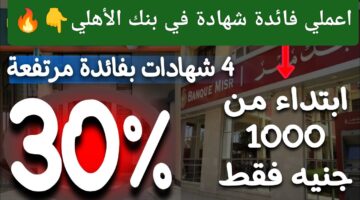 فرصة لا تعوض واستثمار مضمون .. شهادات الادخار الدولارية من البنك الأهلي بأعلي عائد في 2024