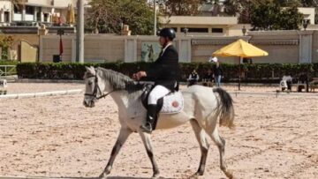 اليوم..إنطلاق نهائي بطولة الجمهورية للفروسية لقادرون باختلاف لذوي الهمم 5/11/2025 12:39:29 AM