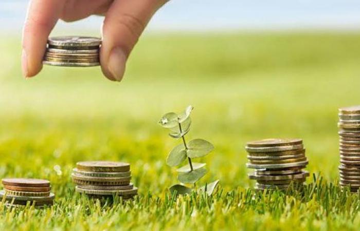 البريد المصري يعلن عن أعلى معدل فائدة لحساب التوفير